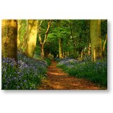  Slike na platnu drveće (moderne slike na platnu) | ePonuda.com