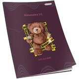  OBRAZAC ŠKOLSKI MATEMATIKA ZA 1 I 2RAZRED SOFT PLUS CONNECT GIRL | shoptok.hr