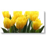  Slike na platnu cvetje panorama KV141E13 (moderne slike na) | shoptok.hr