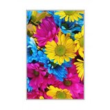 Conceptum Hypnose tepih (140x220) HMNT505 | ePonuda.com