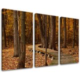  Slike na platnu drveće | ePonuda.com
