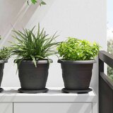  Saksije za biljke 24 pcs Crna Ø 26 x 21.5 cm Plastika | shoptok.hr
