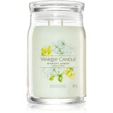 Yankee Candle Midnight Jasmine mirisna svijeća I. Signature 567 g Cijene