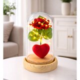Eternal Rose in Dome with LED Lighting Red with Heart 14x8cm | Shoptok.si