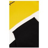 Champion Colour Block Script sarena | shoptok.hr