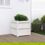 Maison Chic Vrtno cvetlično korito - Cvetlični Lonec belo 50x50x50 cm trdna borovina, (21789810) | Shoptok.si