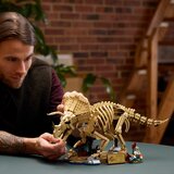 Lego 77985 Dinozavrski fosili: Triceratop | Shoptok.si