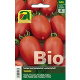 BIO paradižnik Roma VF Cene