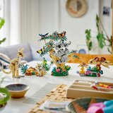 Lego LEGO® Creator 3in1 - Divje živali: družina koal (31388) | Shoptok.si