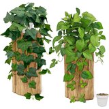 SHEPIN 2x umetna viseča rastlina - 68 cm Cene
