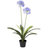 Ambia Home UMETNA RASTLINA 80/105 cm Cene