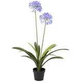 UMETNA RASTLINA 80/105 cm