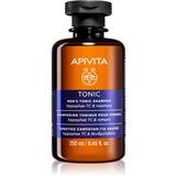 Apivita Men's Care HippophaeTC & Rosemary šampon proti izpadanju las 250 ml Cene