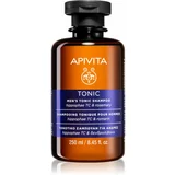 Apivita Men's Care HippophaeTC & Rosemary šampon proti izpadanju las 250 ml