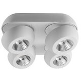  Forma LED spot lampa LS106-4 WH Cene