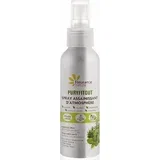 Puryfitout Purifying Spray - 100 ml