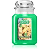 Country Candle Charred Pineapple mirisna svijeća 737 g | shoptok.hr