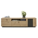 Hom`in TV-ELEMENT antracit, barve hrasta | Shoptok.si