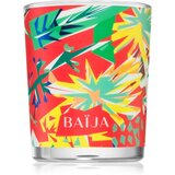 BAÏJA Tangerine Fizz dišeča sveča 75 g Cene