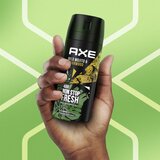 Axe Wild Green Mojito & Cedarwood dezodorans i sprej za tijelo I. 150 ml | shoptok.hr
