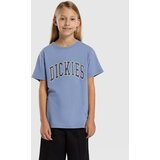 Dickies Excavator Graphic T-shirt endless sky Cene