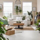 XXXL Umetna Rastlina Tillandsia Ii -Paz- -Ext- | Shoptok.si