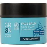 GRN [GRÜN] Balzam za obraz Blueberry & Sea Salt Cene