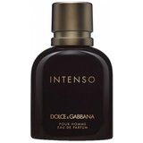 Dolce & Gabbana muški parfem pour homme intenso, 40ml cene