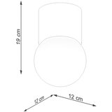 Sollux Bela/v naravni barvi stropna svetilka s steklenim senčilom ø 12 cm Surtur – | Shoptok.si