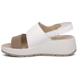 IgI&CO Marmotta Carola sarena | shoptok.hr