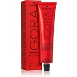 Schwarzkopf igora Royal - 6-12 temno blond cendré pepel, 60 ml Cene