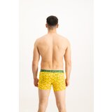 Frogies Men's boxers Zodiac Blizanci | shoptok.hr