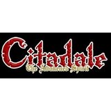 Steam Citadale - The Awakened Spirit Key GLOBAL | ePonuda.com