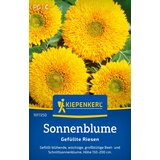 KIEPENKERL Sončnica "polni velikan" - 1 pkt. | Shoptok.si