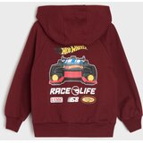 Sinsay Komplet gornjeg dijela trenirke i hlača Hot Wheels | shoptok.hr