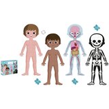 Janod edu slagalica Ljudsko telo 50, 75, 100kom | ePonuda.com