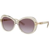 Swarovski Naočare za sunce SK 6026 30038H | ePonuda.com