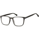 Berkeley Naočare AC11A | ePonuda.com