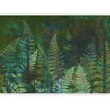  Foto tapeta - Green abstraction in the forest - fern leaves in the trunks with patterns 300x210 | shoptok.hr