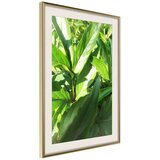  Poster - Somewhere in the Garden 20x30 | shoptok.hr