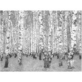  Tapeta - Birch seclusion 300x231 | shoptok.hr