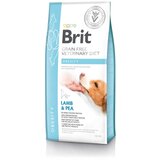 Brit veterinary diet Brit GF Veterinarska dieta za pse - Obesity 12 kg | Shoptok.si