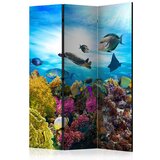  Paravan u 3 dijela - Coral reef [Room Dividers] 135x172 Cijene