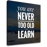  Motivaciona slika na platnu you are never too old (moderne) Cene