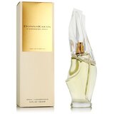 Parfem za žene DKNY Cashmere Mist EDP 100 ml | shoptok.hr