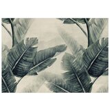  Tapeta - Magic Plants - First Variant 250x175 | shoptok.hr