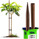KADAX leseni koli, impregnirani koli, 150 cm, podporne palice, 10 kosov, premer 23 mm, (5000362198) | Shoptok.si