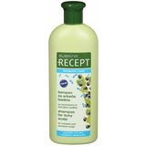 Subrina recept šampon za kosu probiotik care/ 400 ml cene