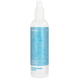 Satisfyer Čistilo erotičnih igračk 300ml Cene