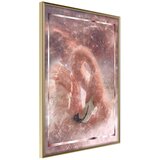  Poster - Stellar Bird 40x60 Cijene